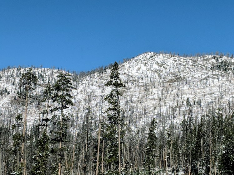 IMG_20181008_110146_1