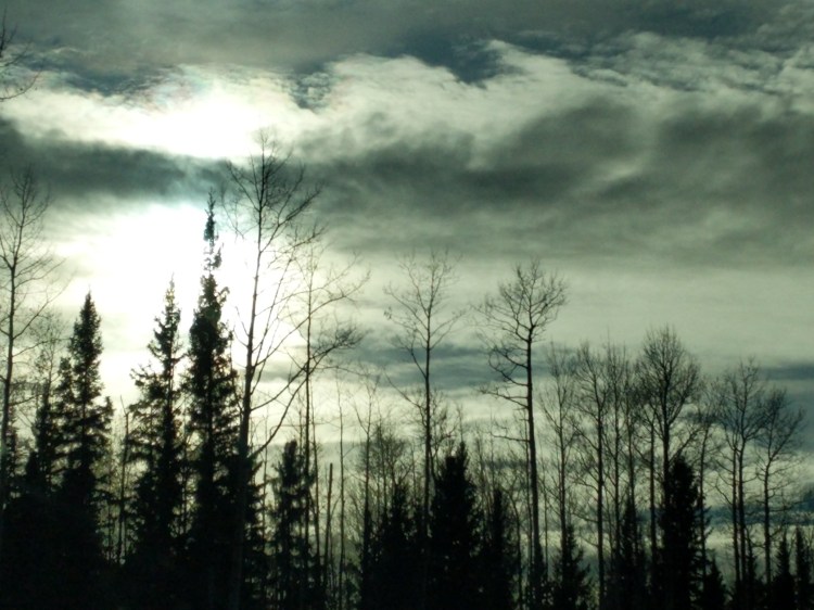 IMG_20181015_155240_1