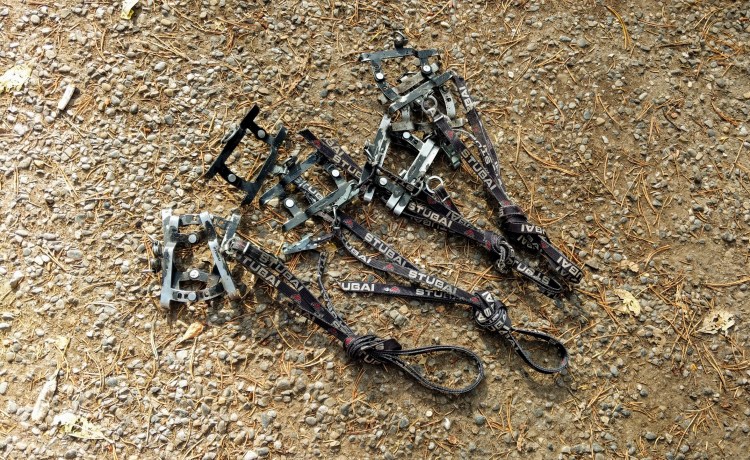 MVIMG_20181012_132955-1