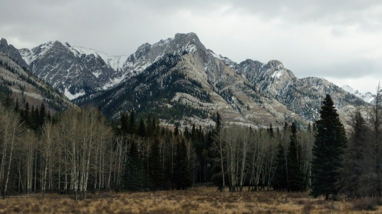 MVIMG_20181012_135651-2