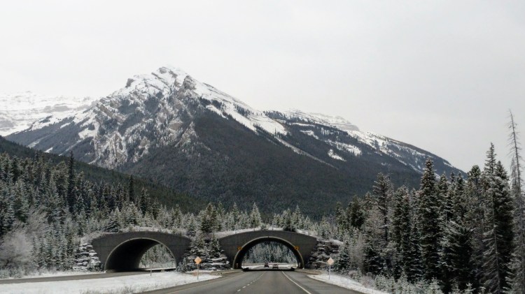 MVIMG_20181013_094041