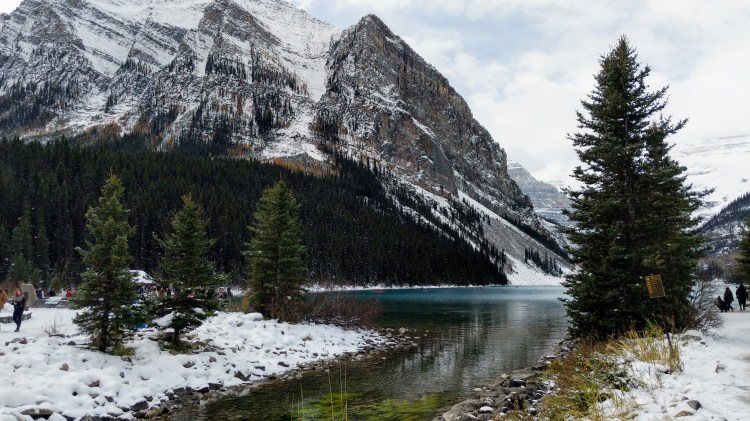 MVIMG_20181013_115950