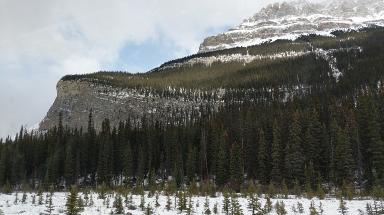 MVIMG_20181013_155057