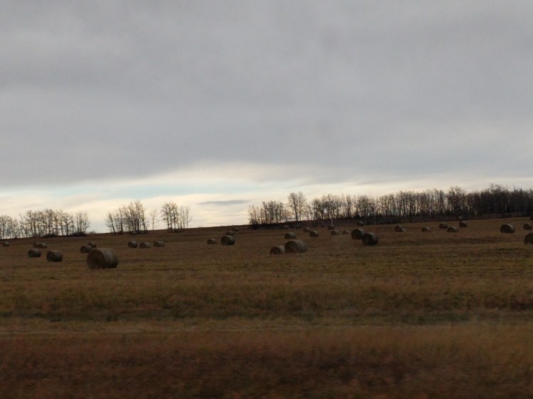 MVIMG_20181014_165322